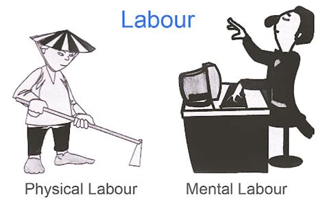 labor work definition|definition of labor.
